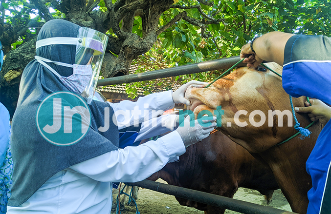 Menerapkan Disiplin Protokol Kesehatan Jelang Iduladha di RPH