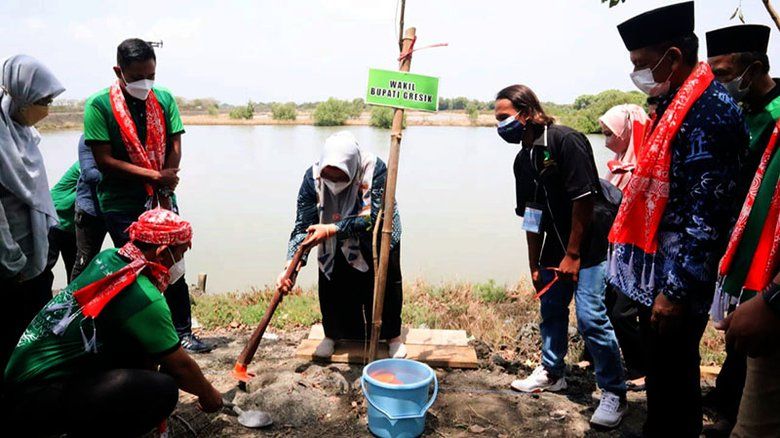 Mangrove Biru Kalimireng, Konsep Pengayaan Spesies Baru Bernilai Ekonomi