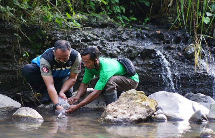 Dianggap Mitos, Ikan Sengkaring Dlepasliarkan di Sungai