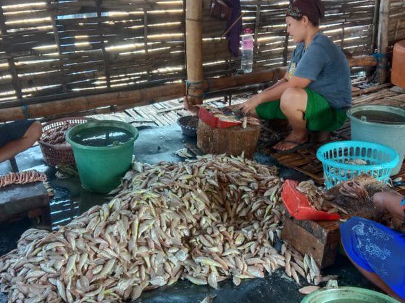Musim Hujan, Harga Ikan Kering di Probolinggo Meroket