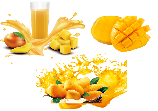 Efek Samping Konsumsi Buah Mangga Secara Berlebihan