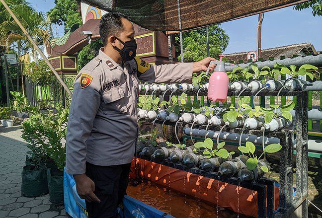Di Balik TNI-Polri saat Pandemi Covid-19 Bertanam Sayur, Dibagikan Kepada Warga yang Isoman