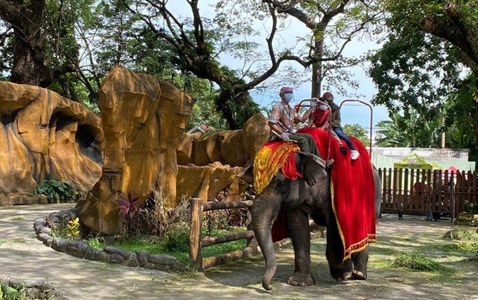 Agar Tetap Jadi Lembaga Konservasi, KBS Bakal Ditata Ulang