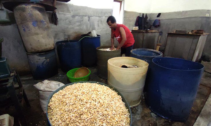Harga Kedelai Impor Meroket, Produsen Pilih Kecilkan Ukuran Tempe