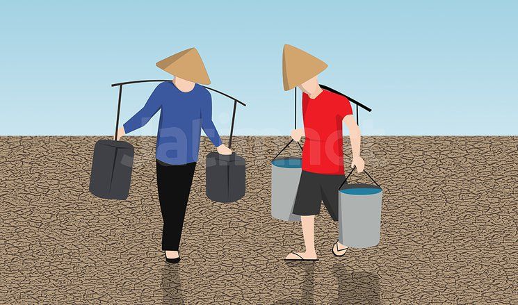 Banyuwangi Memasuki Musim Kemarau, Petani Disarankan Bersiap