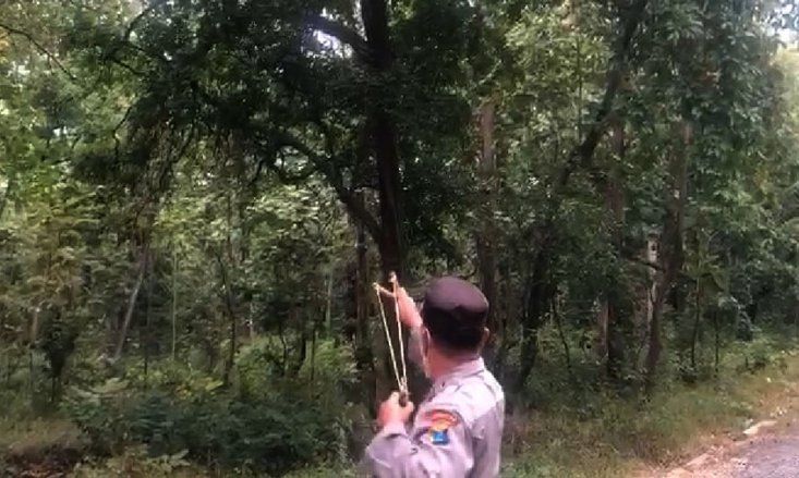 Kera Liar Hutan Baluran Mulai Ganggu Pengguna Jalan, Polisi Lakukan “Penyekatan”