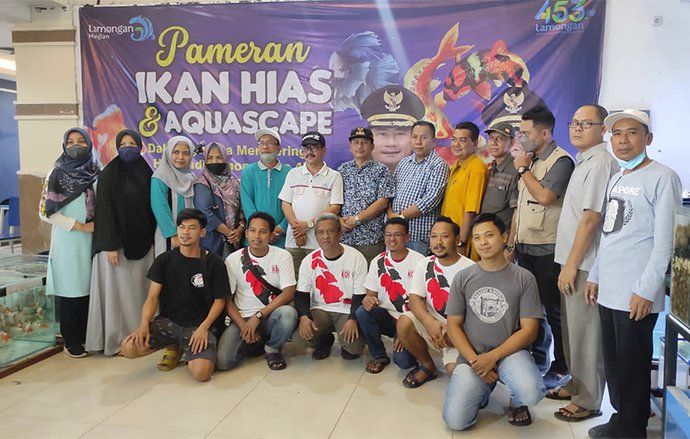 Penghobi Ikan Hias Akan Mendapat Fasilitas Dari Dinas Perikanan Kabupaten Lamongan
