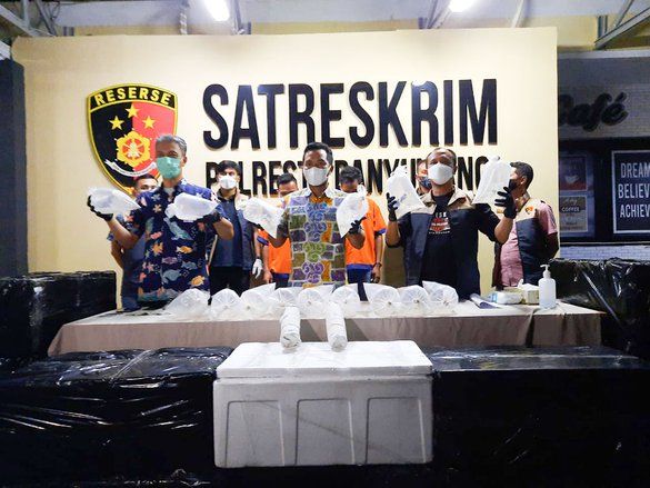 Polresta Banyuwangi Amankan Benih Lobster Senilai Rp 1,5 Miliar