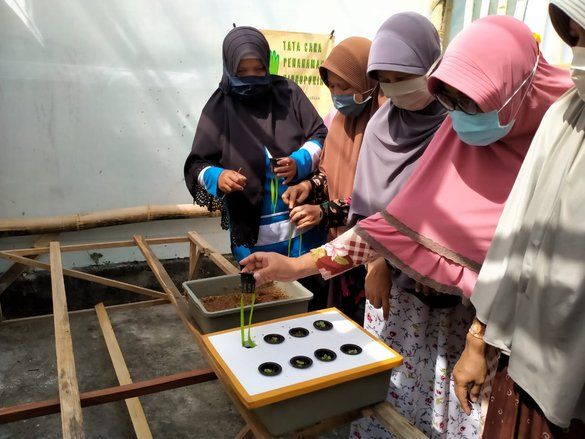 Tingkatkan Ketahanan Pangan, Mahasiswa Unusa Beri Penyuluhan Tanaman Hidroponik di Gresik