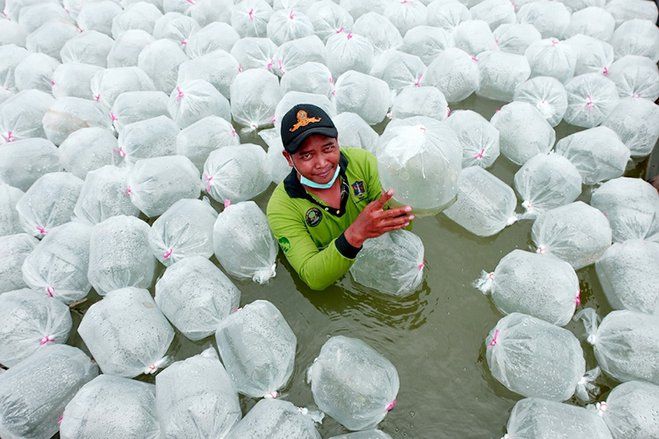 Puluhan Tahun Mangkrak, Lahan BTKD Pakal Kini Serap 150 Tenaga Kerja MBR