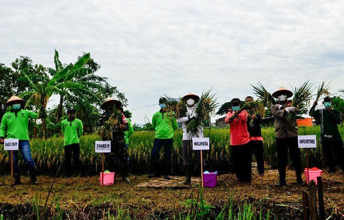 Kelompok Tani Panen Raya Padi Seluas 2 Hektar di Pakal