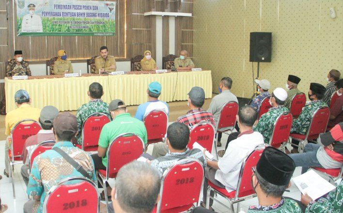 Petani Probolinggo Digelontor 15 Ton Benih Jagung Hibrid