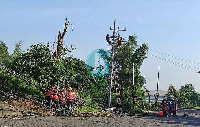 Diterjang Hujan Disertai Petir dan Angin Kencang, 11 Ribu Pelanggan Kena Dampak Pemadaman