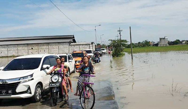 Puluhan Hektar Sawah Terendam Air, Pemerintah Janji Bakal Ganti Rugi