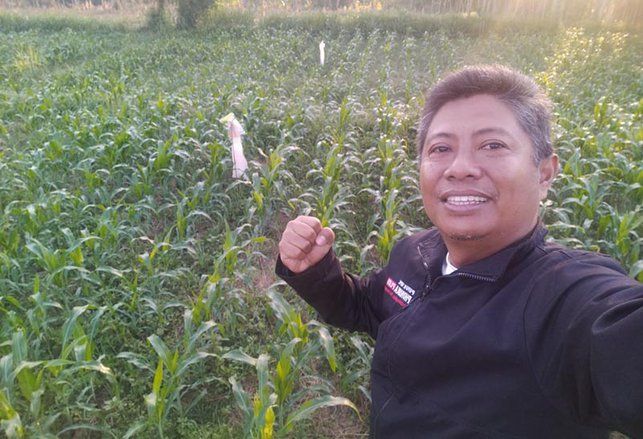 Rugikan Petani, HKTI Jember Kritik Presiden Jokowi Soal Penetapan Harga Jagung