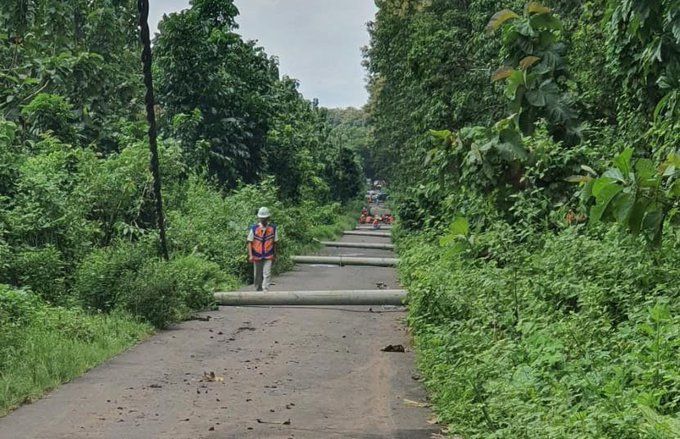 18 Tiang Listrik Menuju TN Alas Purwo Tumbang