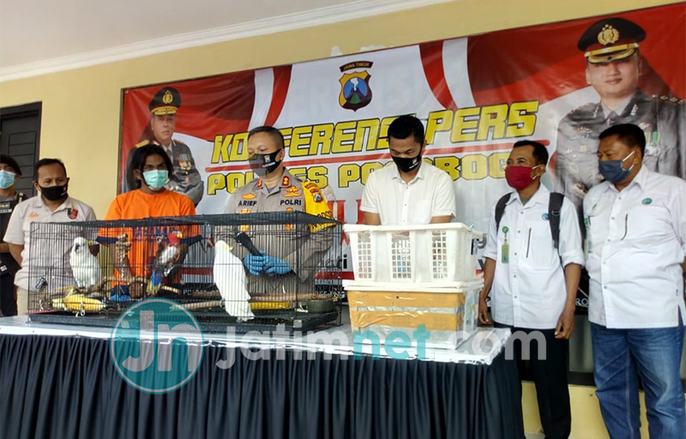 Jual Satwa Dilindungi, Pemuda Madiun Ditangkap