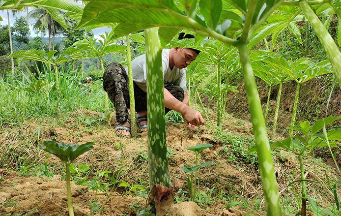 Berkat Porang, Ponpes di Ponorogo Bisa Sejahterakan Masyarakat 