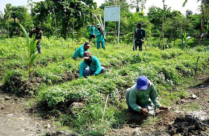 Hadapi Pandemi, Program Kedaulatan Pangan Disiapkan