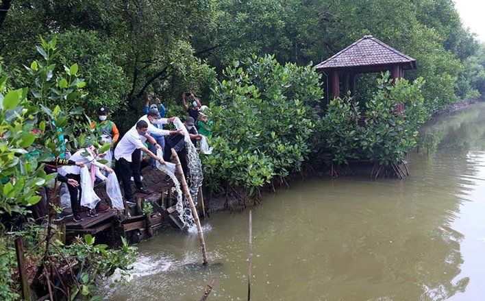DSDABM Surabaya Tingkatkan Konservasi dengan Penanaman Pohon dan Tebar Benih Ikan Bandeng