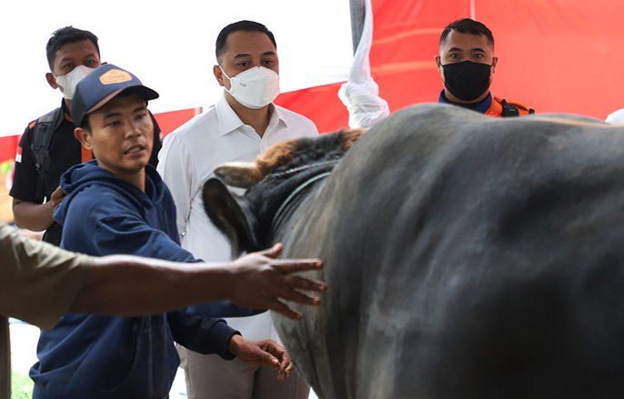 Wali Kota Eri Cahyadi Kembali Tegaskan, Tidak Buang Rumen di Sungai