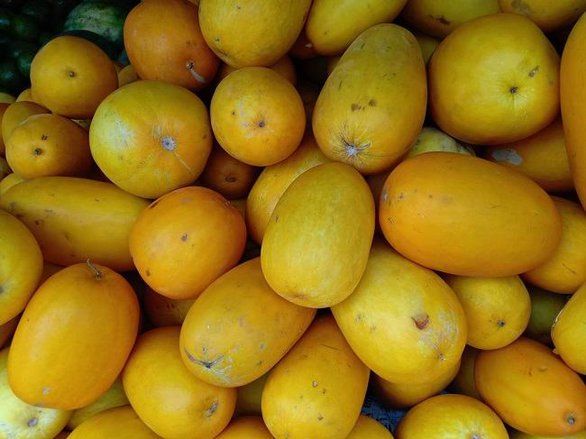 Ini Manfaat dari Mentimun Suri bagi Kesehatan