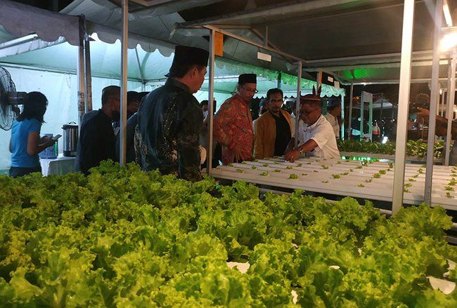 Diresmikan, <em>Fastaman Green </em>Jadi Taman Edukasi Berkonsep <em>Urban Farming </em>Pertama di Sidoarjo