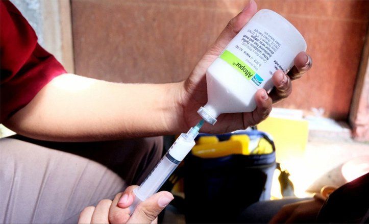 Vaksinasi PMK Tahap 1 Dimulai, Target 600 Ekor Sapi