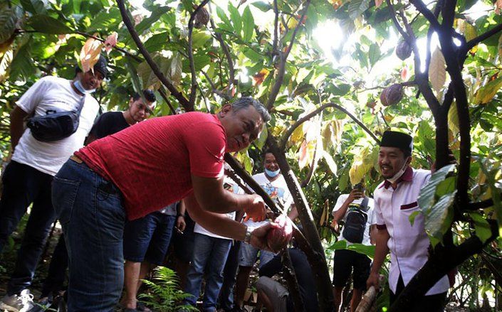 Kantongi CSHE, Wisata Kampung Coklat Blitar Sudah Dibuka