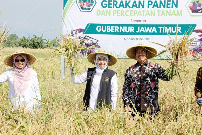 Produksi Padi Jatim Capai 7,71 Juta Ton GKG, Tertinggi Nasional hingga Juli 2026