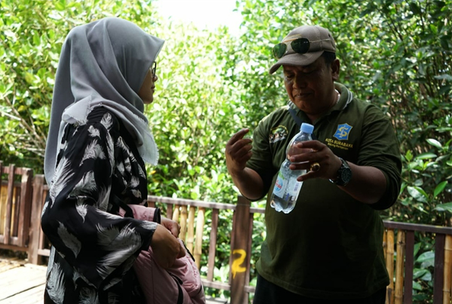 Larangan Penggunaan Plastik di Mangrove, Pengunjung di Screening