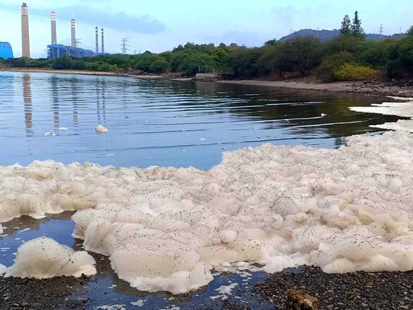 Buih Putih Asal Unit 9 PLTU Paiton, Cemari Pantai Bohai Probolinggo