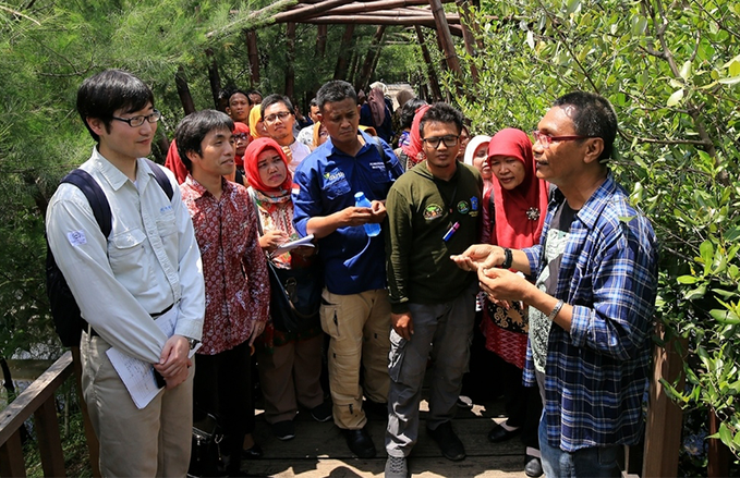 Pemkot Kitakyushu Jepang Teliti Ekosistem Mangrove