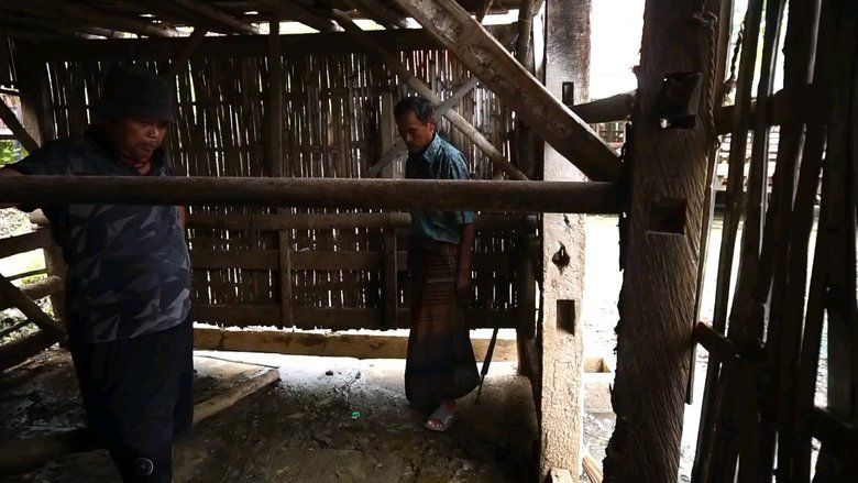 Terekam CCTV, Dua Sapi Limosin Raib Digondol Maling di Leces Probolinggo