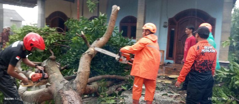Angin Kencang di Kutorejo Robohkan Pohon dan Rusak Puluhan Rumah Warga