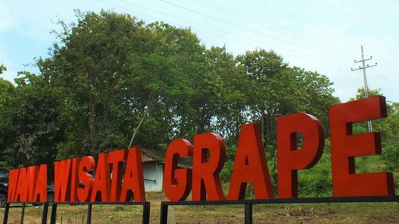 Referensi Destinasi Wisata Lereng Wilis di Madiun yang Layak Dikunjungi