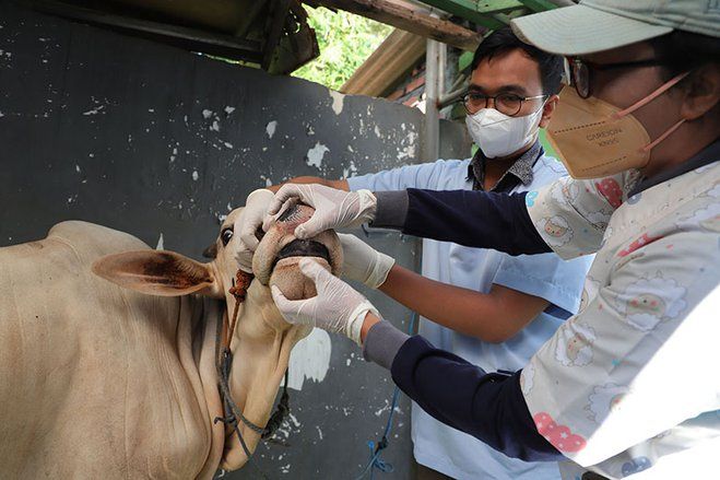Agar Tidak Cemari Lingkungan, Warga Diminta Tidak Buang Sampah Rumen dengan Hubungi 112
