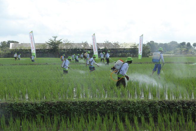 Petrokimia Gresik Tingkatkan Optimisme Petani Pulihkan Ekonomi Nasional