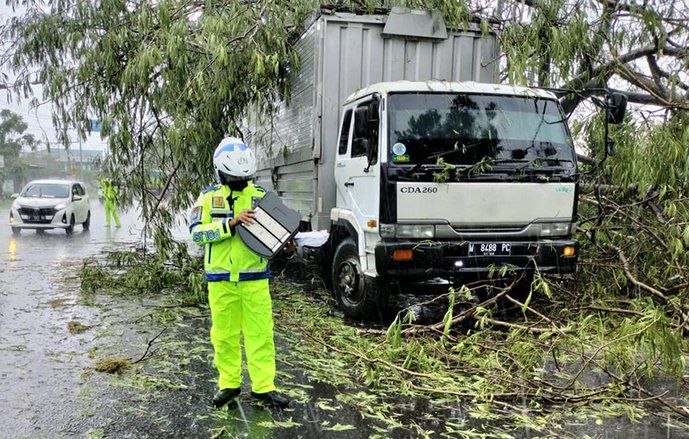 Pohon Trambesi 1,3 meter Tumbang Timpa Kontainer di Jalan By Pass Mojokerto