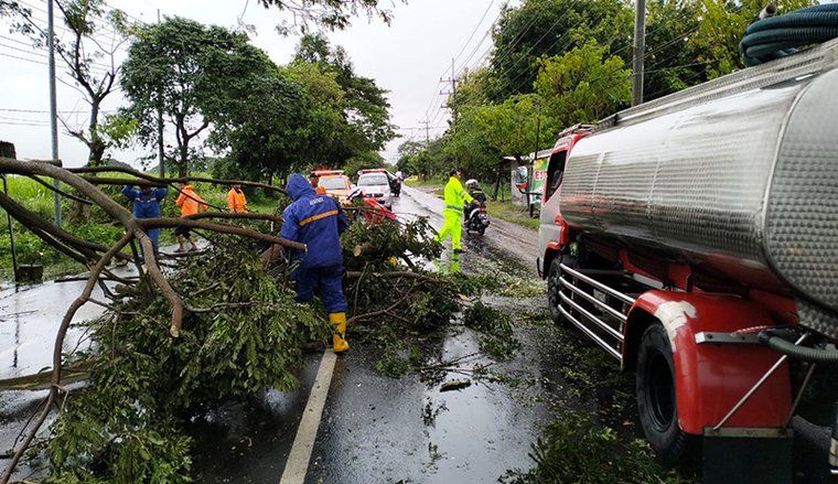 Hujan Deras Disertai Angin, Pohon Trembesi Tumbang di Bangsal Mojokerto Menimpa Truk Tangki