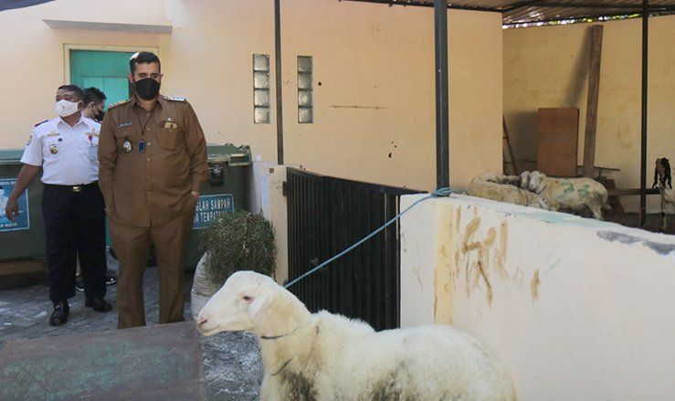 Wali Kota Probolinggo Salurkan Bantuan Hewan Kurban, di Tengah Pandemi