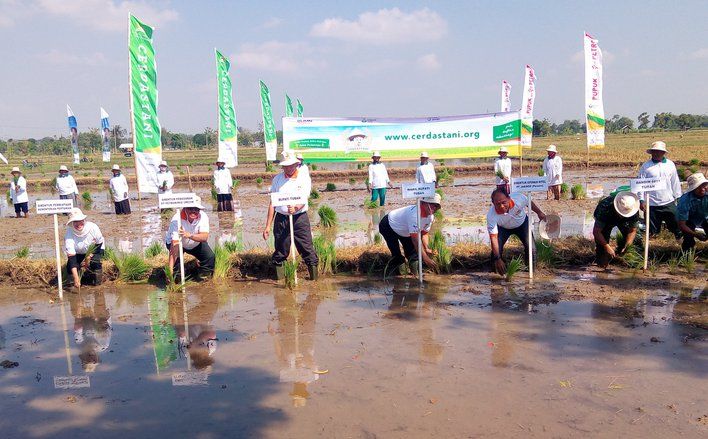 Petani Padi Dapat Proteksi Asuransi dari Petrokimia dan Jasindo