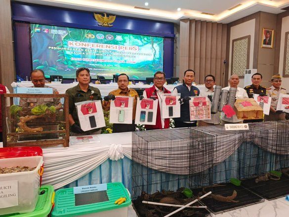 Polda Jatim Gagalkan Penyelundupan Komodo Dimasukkan ke Paralon