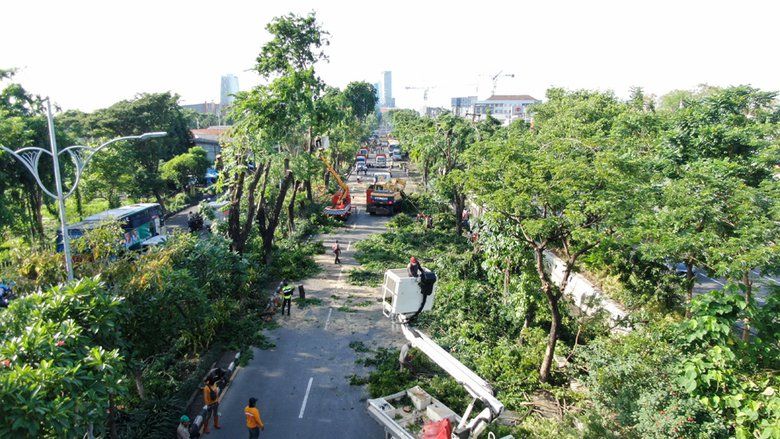 Pemkot Surabaya Manfaatkan Daun dan Batang Pohon untuk Kompos dan Mebel