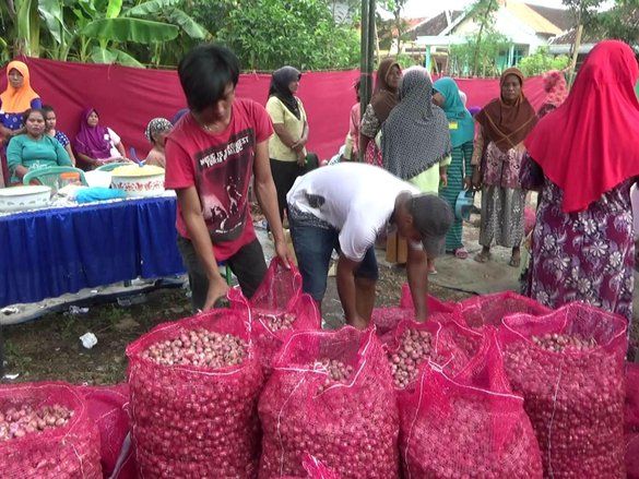 Bawang Merah Probolinggo Tembus Rp 32.000 per Kilogram