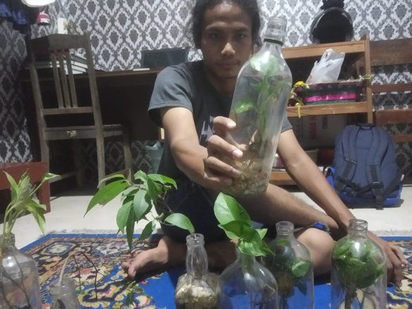 Hadapi Resesi Pandemi, Mahasiswa di Banyuwangi Ini Tekuni Bisnis Tanaman Botol