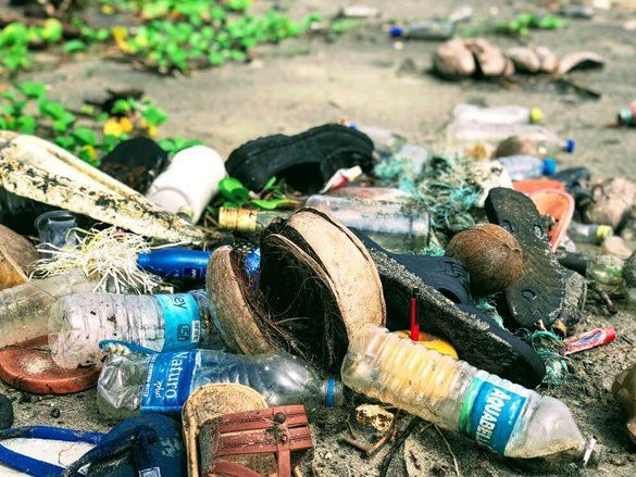 Jadi Gerbang Penyelundupan Sampah, Ecoton Desak Pemerintah Perketat Impor