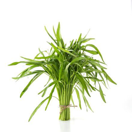 Mengapa Kangkung Jarang Masuk Menu Pasien Rumah Sakit? Ini Penjelasan Pakar Kesehatan