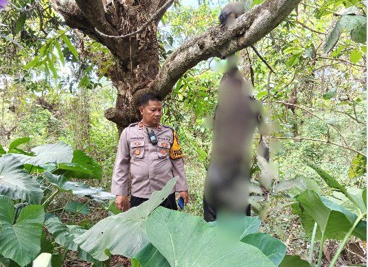 Mayat Tergantung di Pohon Hutan Jatiduwur Jombang, Diduga Pemuda Putus Cinta