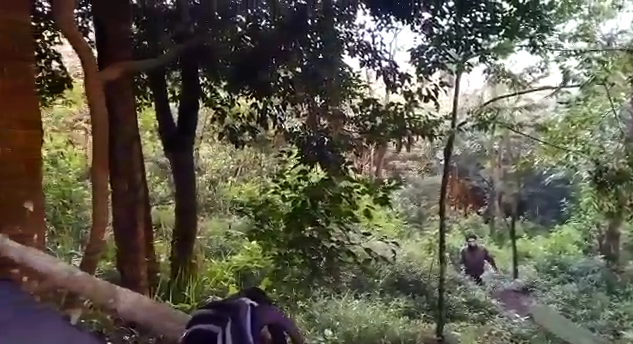 Mahasiswa Pasuruan Hilang di Bukit Krapyak Mojokerto Belum Ditemukan